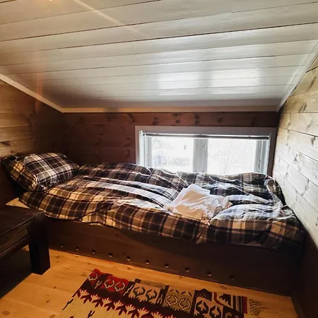 Familiehytte Med Fantastisk Beliggenhet I Vestlia 別荘 *