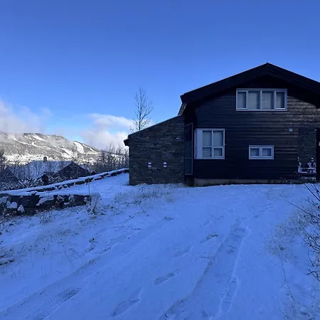 Familiehytte Med Fantastisk Beliggenhet I Vestlia Hébergement de vacances *
